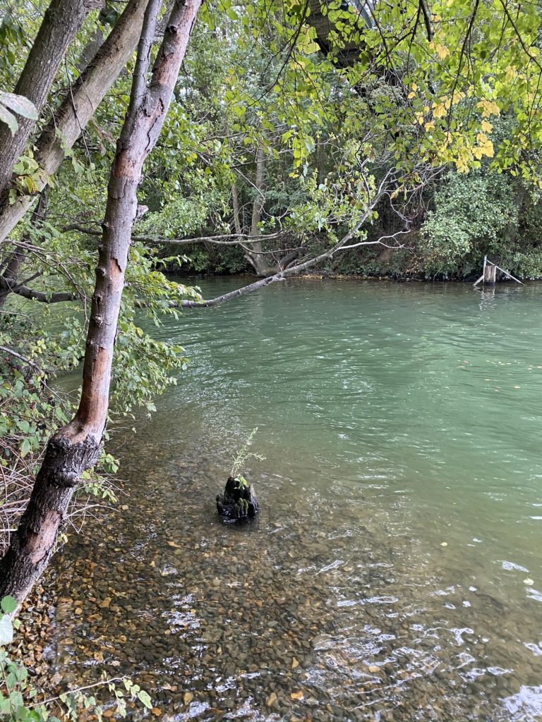 L'île des plus petits que soi 3 IMG 3377