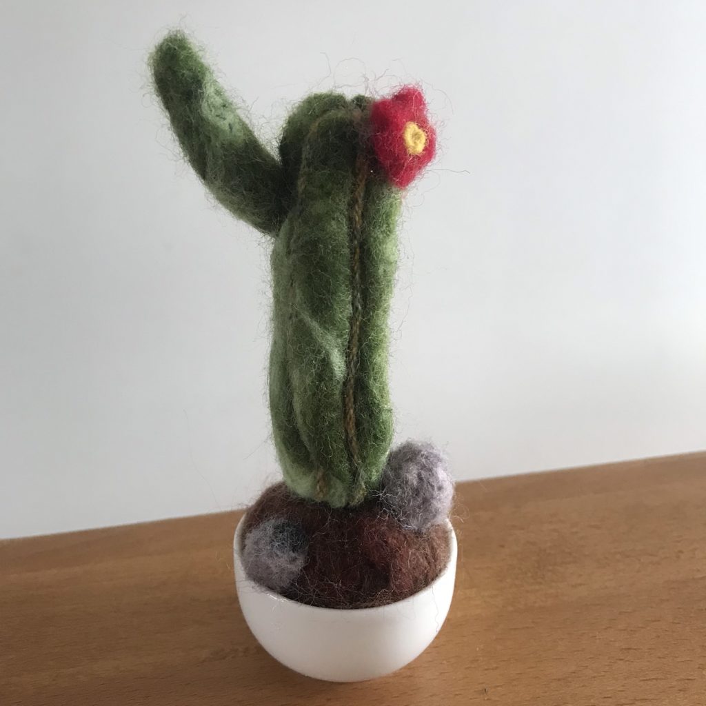 Atelier laine cardée cette aprem à la maison 7 cactus laine cardée
