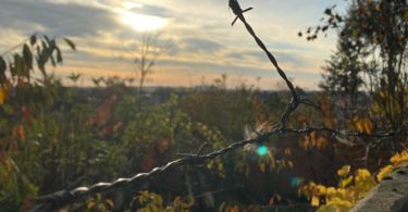 marche dans la nature urbaine