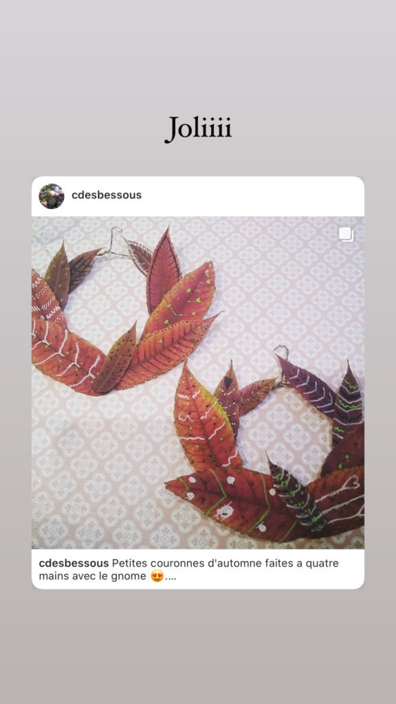 Bricolages d'Automne : couronnes et personnage végétal 28 5D25D87E 3D83 4287 BBDB A2A4BE640130