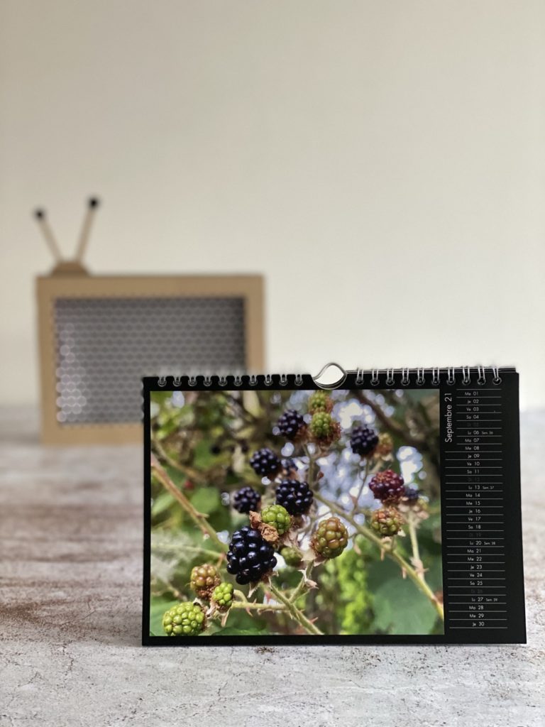Customiser un calendrier photo 4 calendrier photo