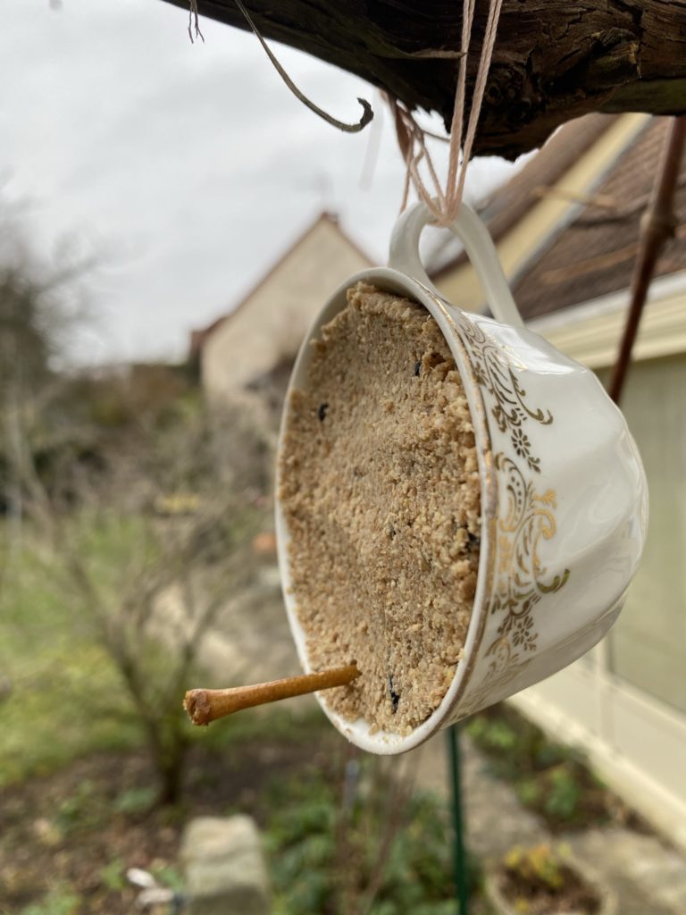 tasse mangeoire oiseau