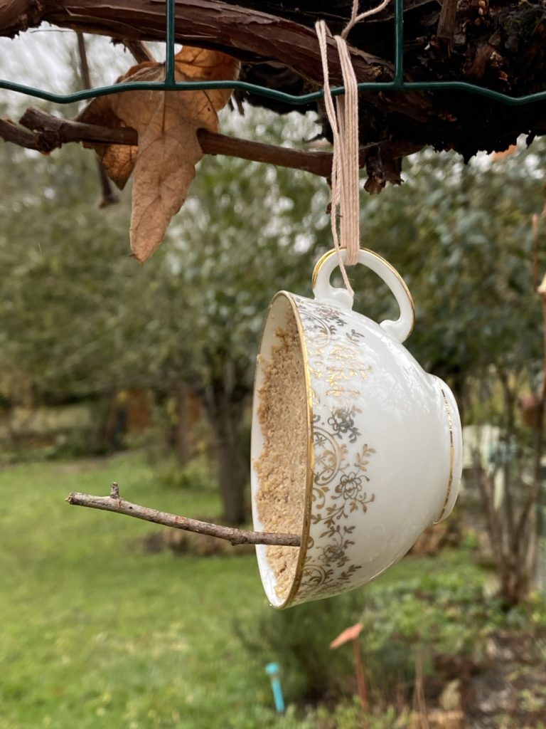 tasse à thé recyclée en mangeoire à oiseaux