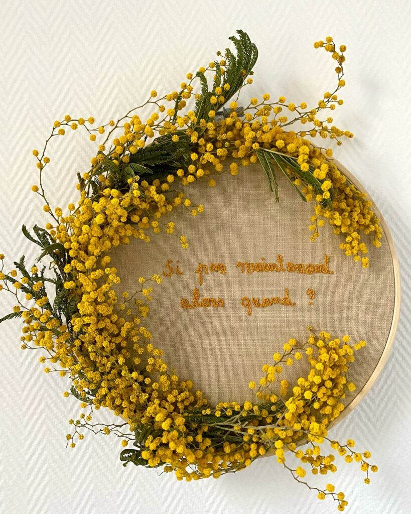 broderie mimosa Si pas maintenant alors quand ?