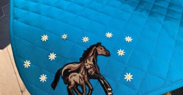 tapis de cheval brodé