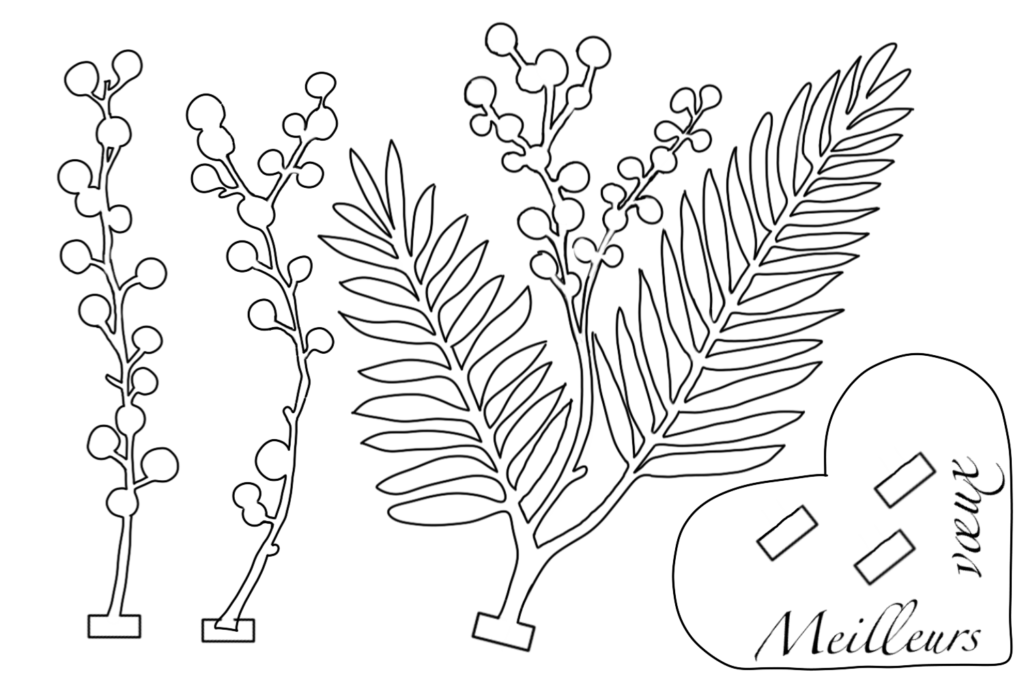 Ma carte vœux en bois offre du mimosa éternel ! 2 dessin de mimosa noir et blanc
