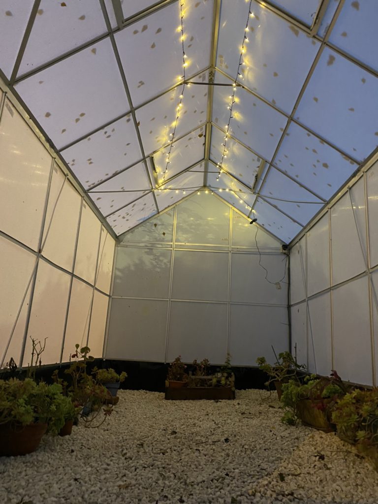 Construire une serre de jardin 8 IMG 6088