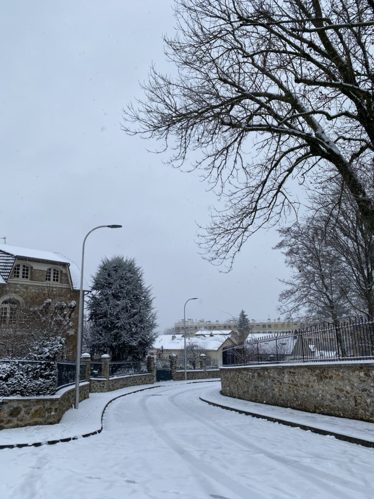 le prisme positif de la neige