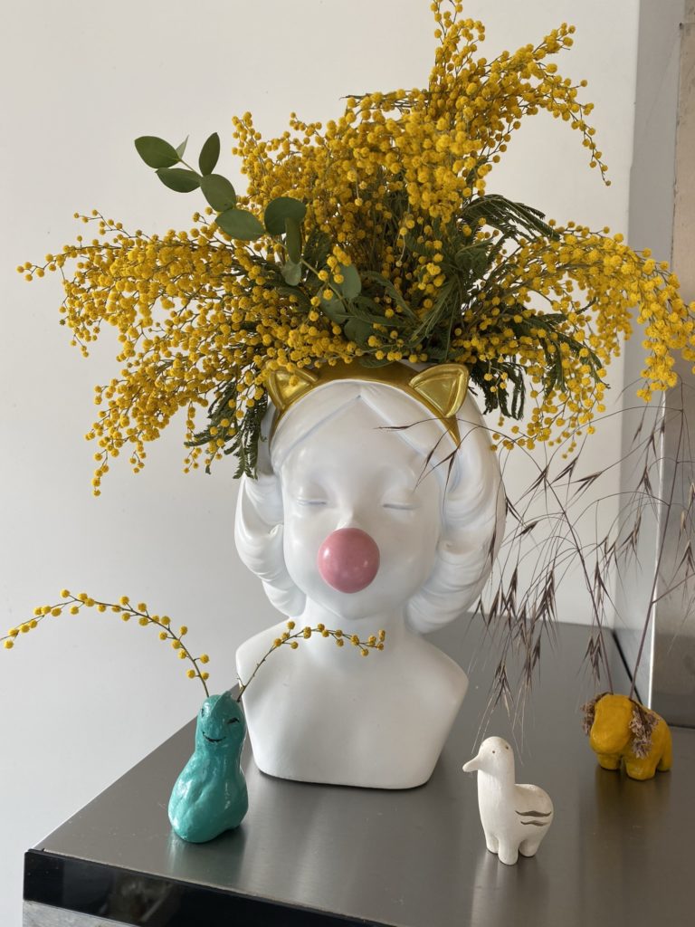 Mimosa chéri 3 mimosa dans joli vase fille bulle chewing gum