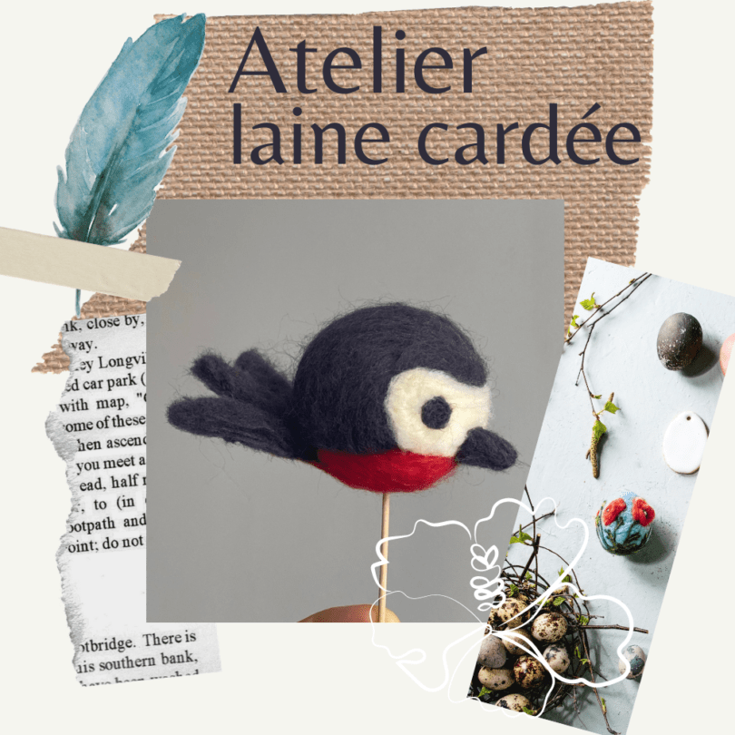 kit d'initiation à la laine cardée : fabriquez un oiseau