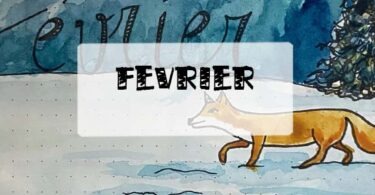 février page bullet journal