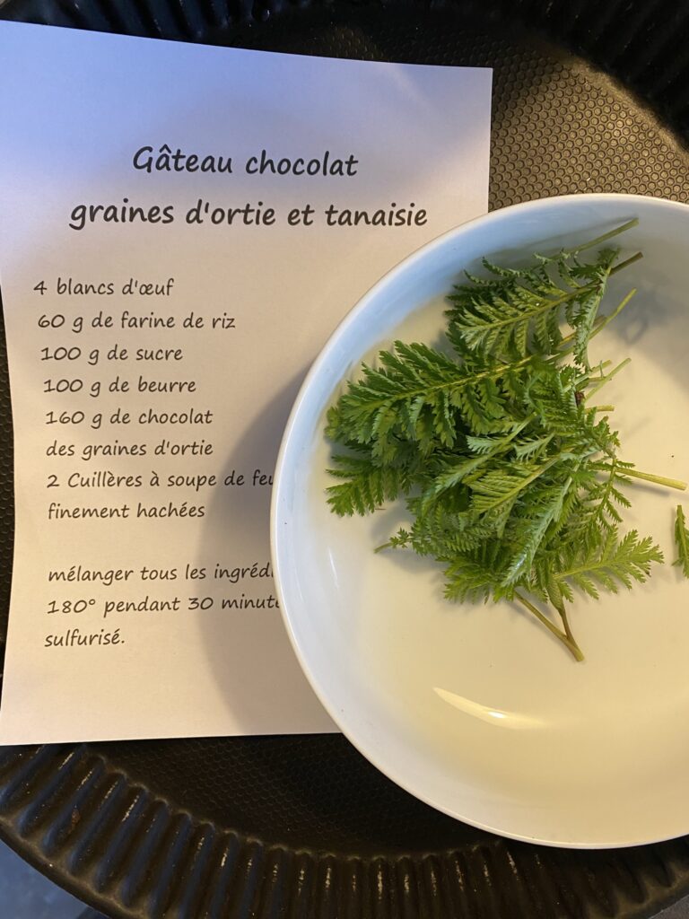 stage de cuisine aux plantes sauvages