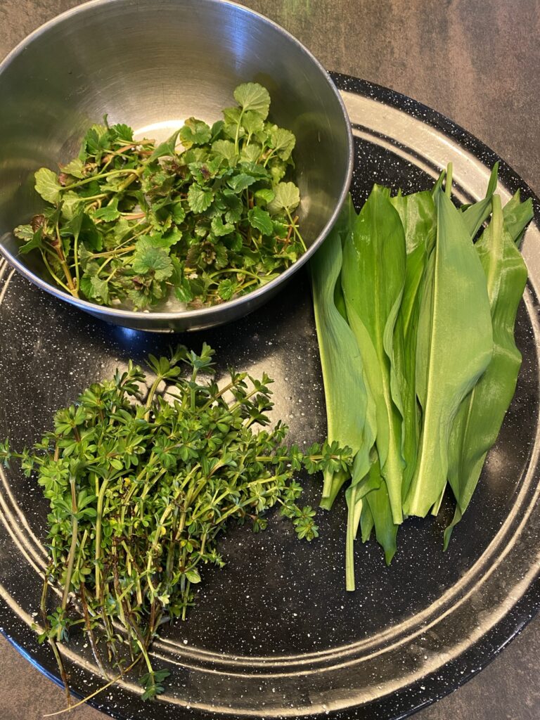 stage de cuisine aux plantes sauvages