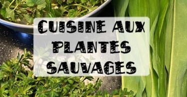 cuisine aux plantes sauvages