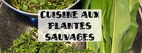 cuisine aux plantes sauvages