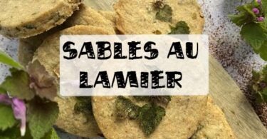 sablés au lamier pourpre