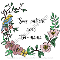 Illustrations inspirées 14 sois patient avec toi meme couleur lowres