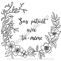 Illustrations inspirées 9 sois patient avec toi meme lowres