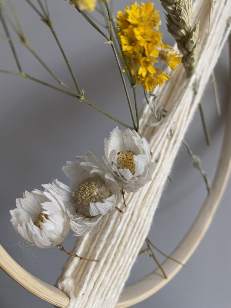 Exposez vos fleurs séchées dans un cercle 3 tuto facile cercle fleurs séchées ficelle