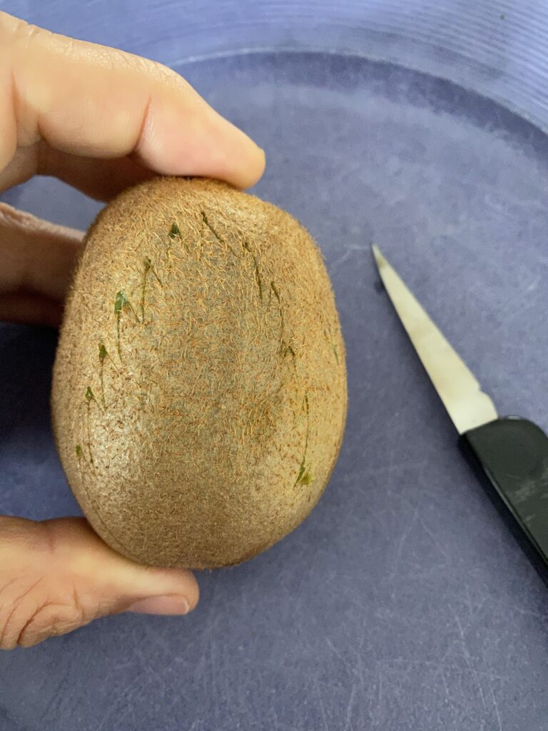 Notre première assiette de fruits sculptés 3 IMG 0569