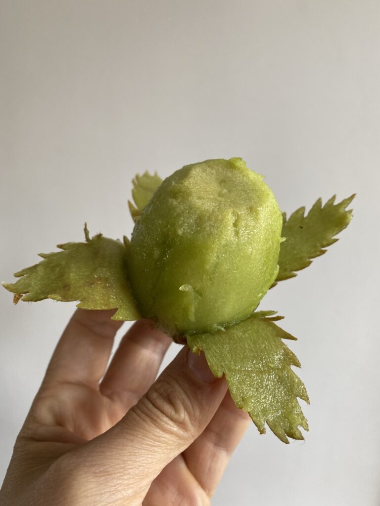 Notre première assiette de fruits sculptés 4 kiwi sculpté en rose