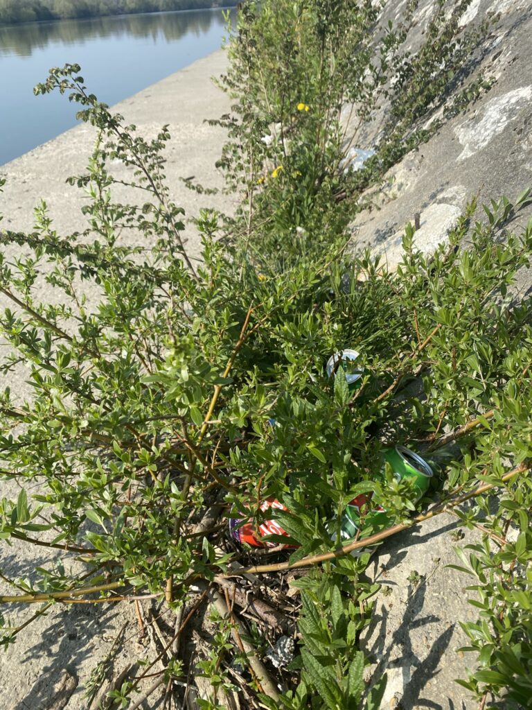 Nettoyage des berges de Seine 5 IMG 0717
