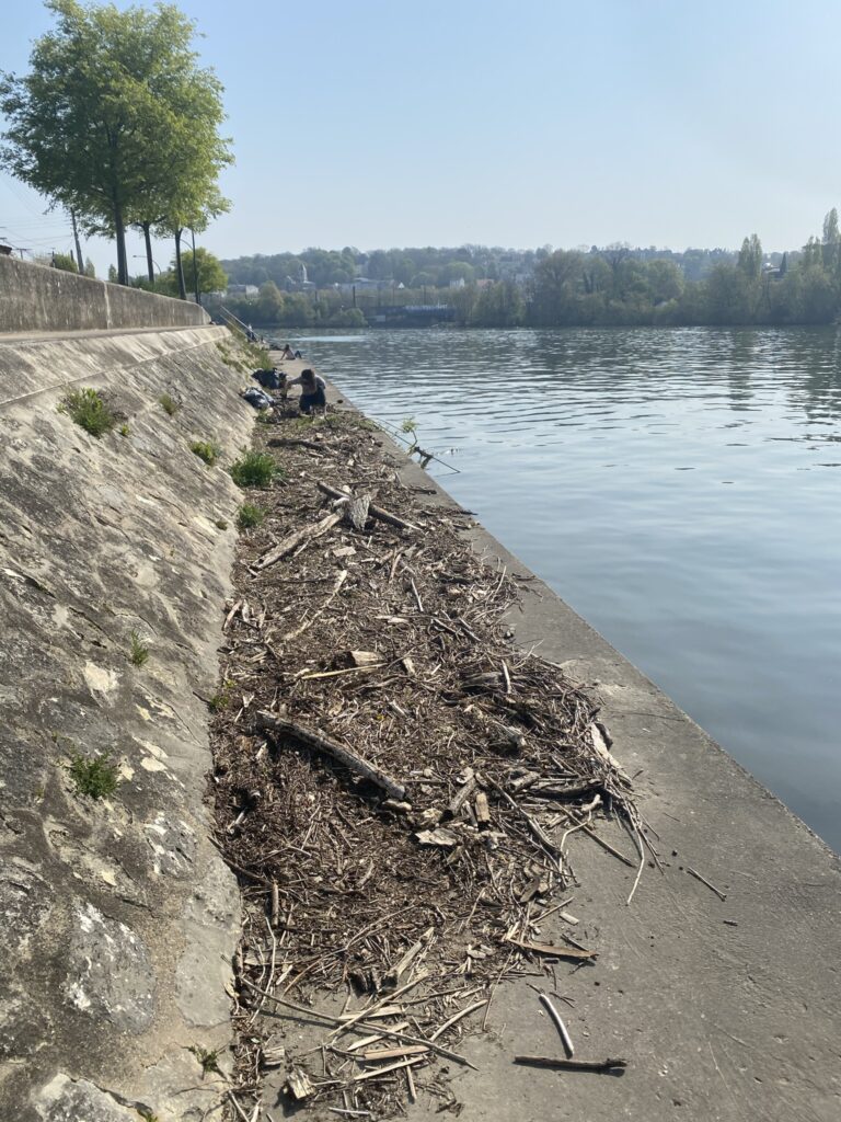 Nettoyage des berges de Seine 8 IMG 0725