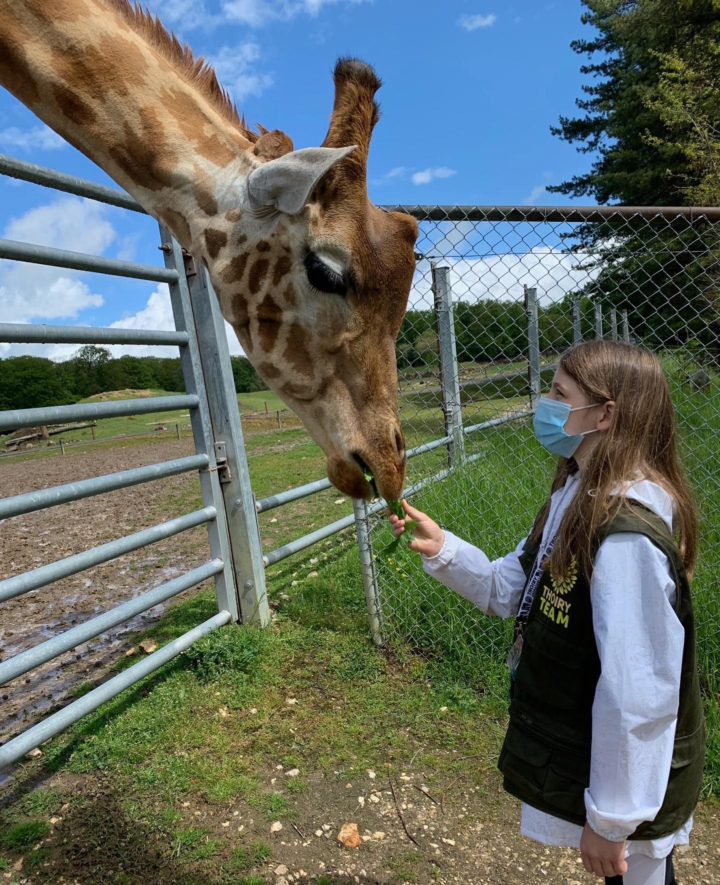 11 ans demain - Et comme premier cadeau, Siloë a passé une matiné au zoo de @zoothoiry comme apprentie soigneuse. C’est une expérience qui se fait sans les parents. Siloë y était avec son cousin et tous les deux, ils ont préparé les repas, nettoyé des enclos, nourris des animaux, observé et caressé du bout du doigts certains reptiles ou oiseaux :). Dire qu’elle est revenue enchantée est un doux euphémisme ! Elle était vraiment hyyyyyper contente ! Je me souviens de ses 10 ans fêtés très sobrement au sortir du confinement. Je peux vous annoncer que cette année, on a mis les bouchées doubles ! Et dans les cadeaux plein d’intention qu’on lui a offerts, cette matinée au zoo restera un souvenir très fort je crois ! (Zéro sponso hein, juste un partage comme c’est la belle idée des réseaux sociaux). Je recommande +++ pour ceux qui ont des enfants passionnés par les animaux. Je crois que plein d’autres zoos proposent aussi cette expérience. Vous confirmez ?