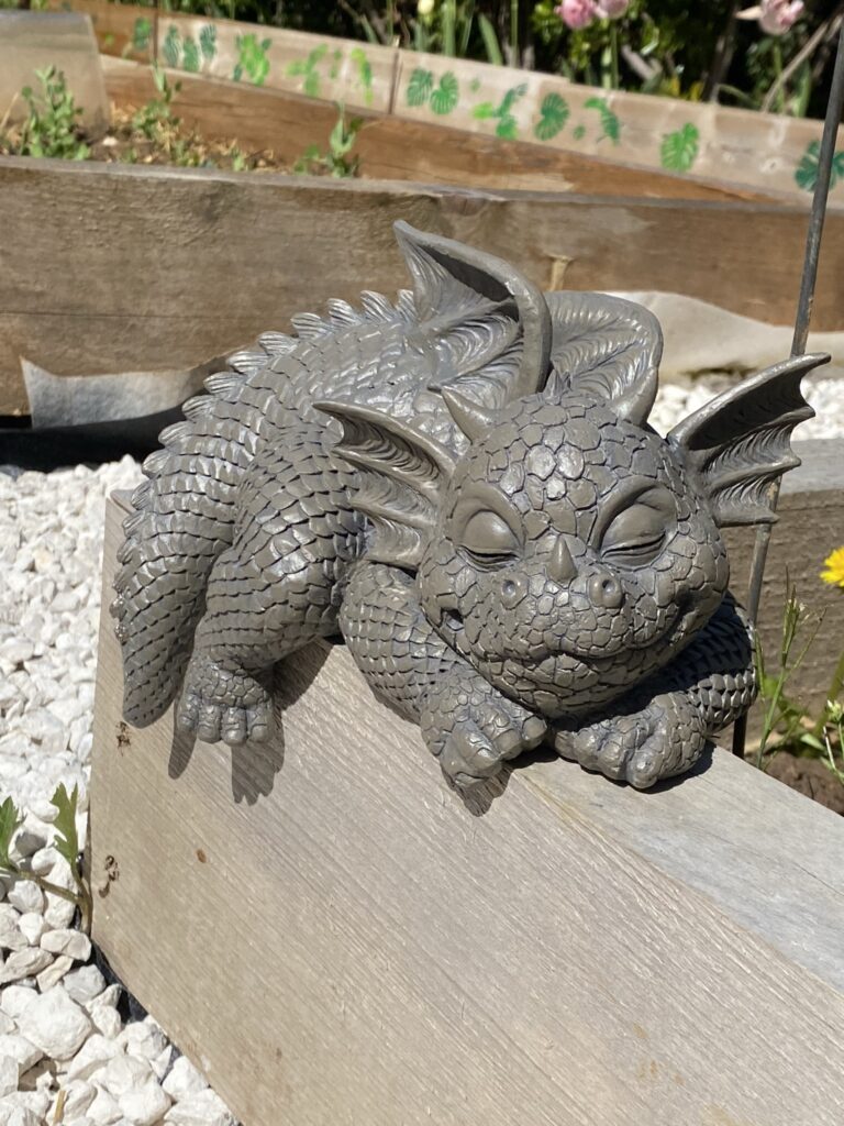Des nouvelles de ma terrasse 16 dragon de jardin