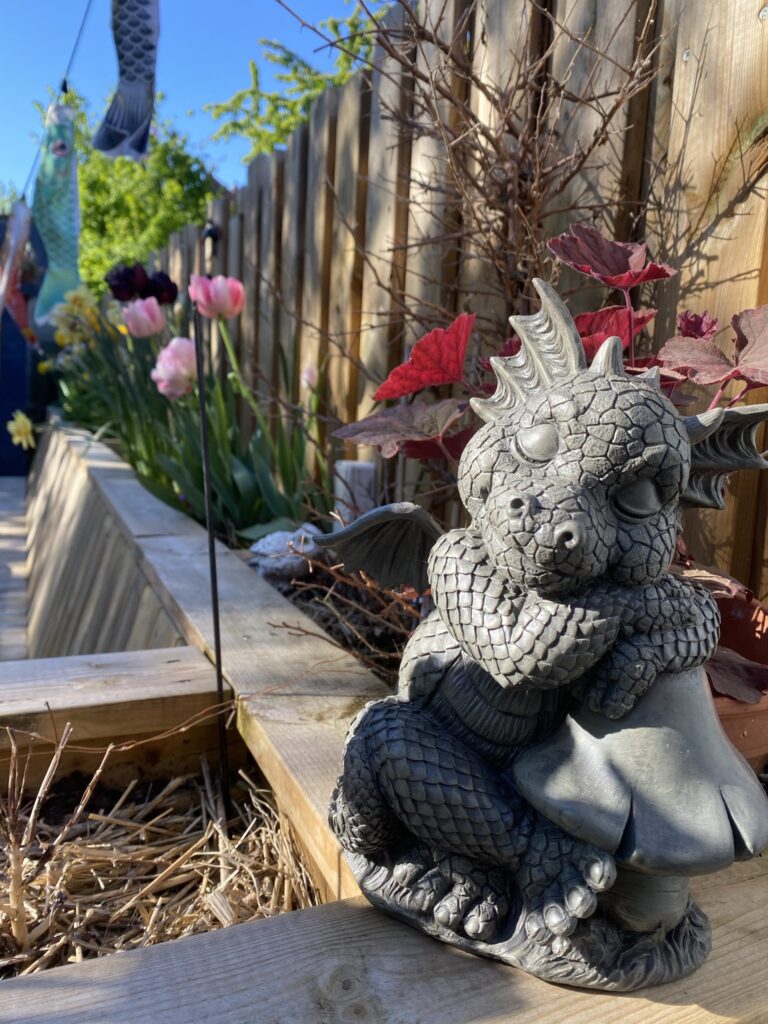 Des nouvelles de ma terrasse 14 dragon de jardin