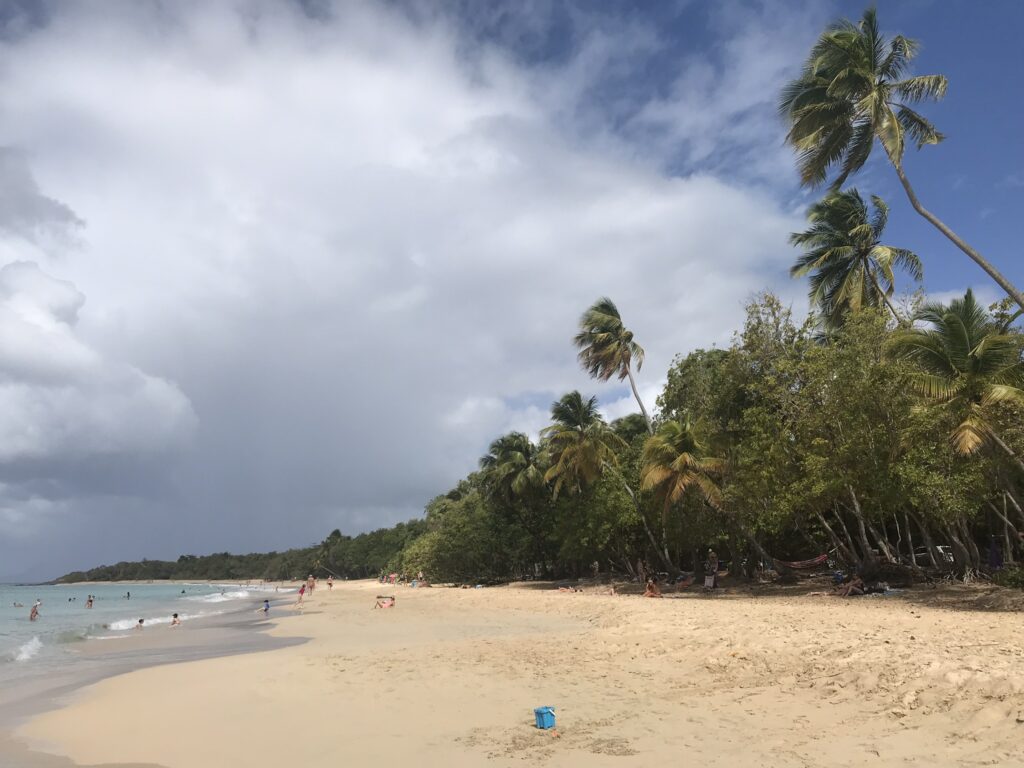Tout pour préparer son voyage en Martinique 11 IMG 5440