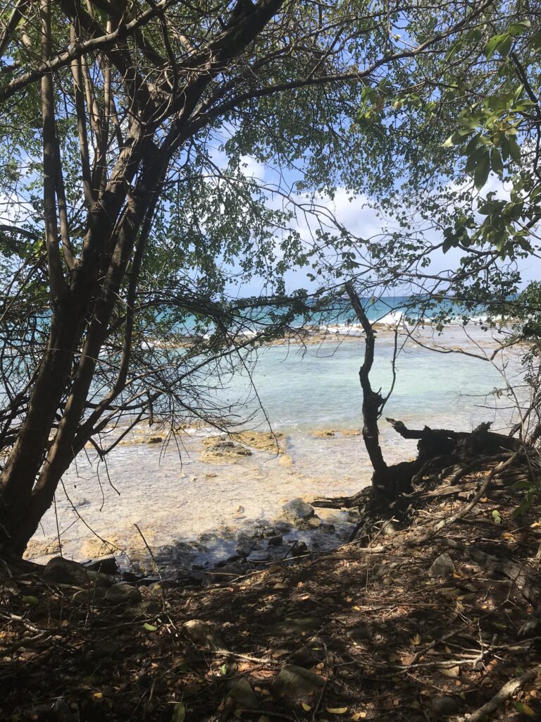 Tout pour préparer son voyage en Martinique 12 IMG 5453