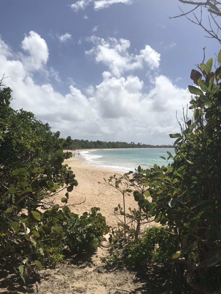 Tout pour préparer son voyage en Martinique 13 IMG 5460