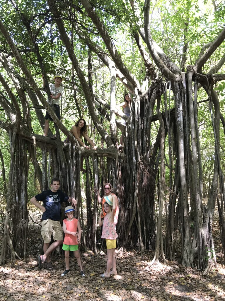 Tout pour préparer son voyage en Martinique 16 IMG 5471