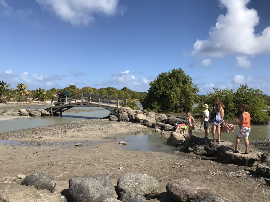 Tout pour préparer son voyage en Martinique 17 IMG 5478