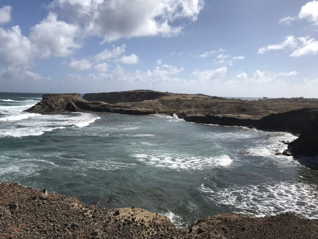 Tout pour préparer son voyage en Martinique 22 IMG 5503