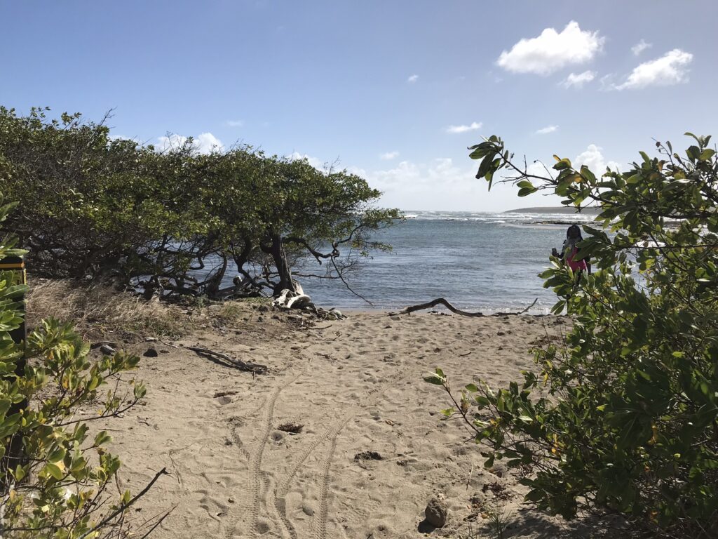 Tout pour préparer son voyage en Martinique 28 IMG 5546
