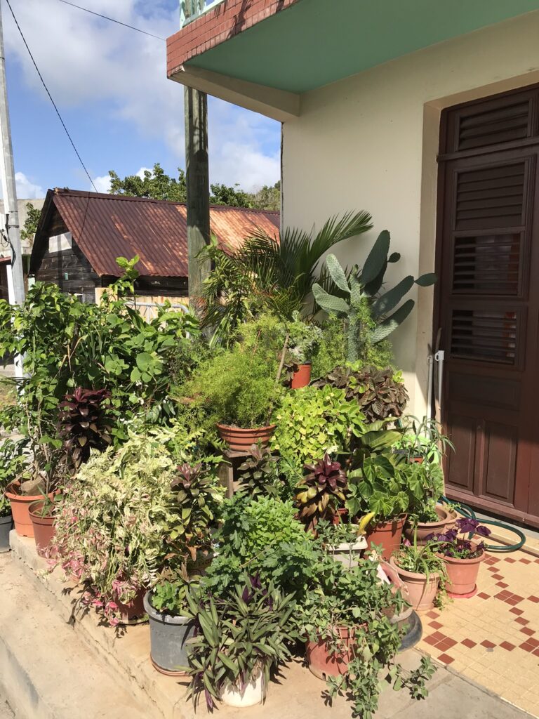 Tout pour préparer son voyage en Martinique 32 IMG 5604