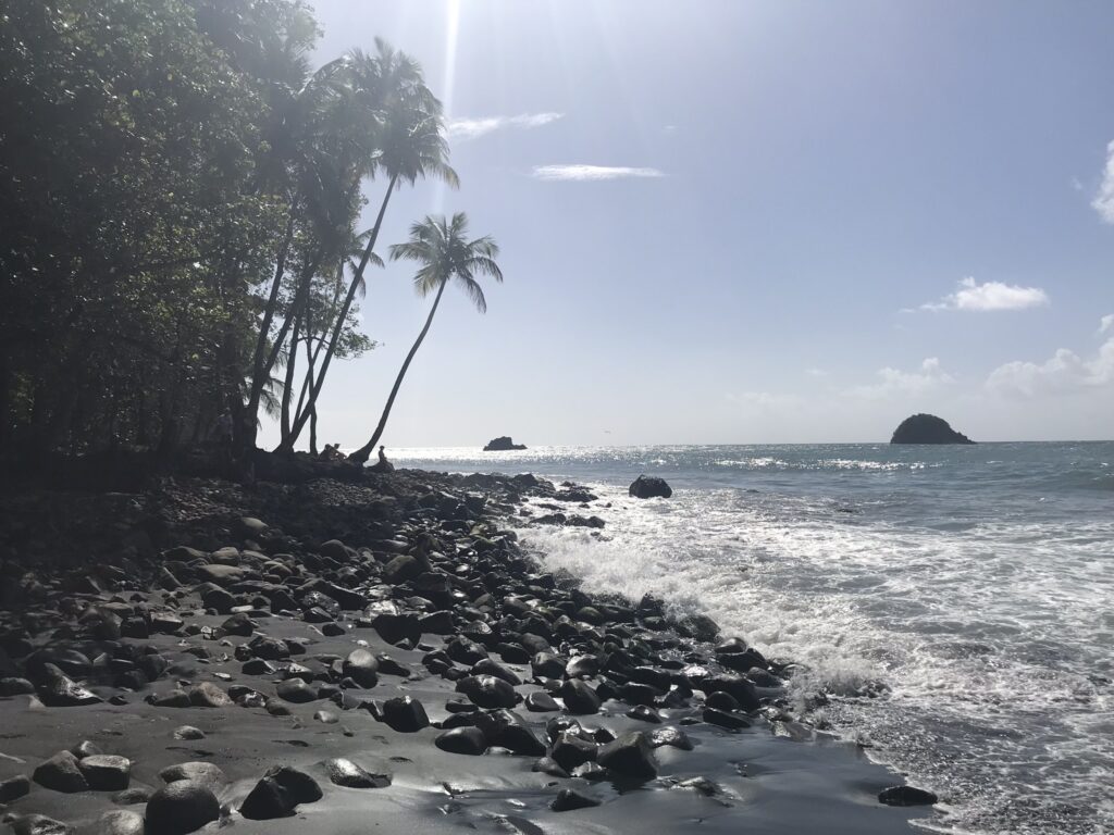 Tout pour préparer son voyage en Martinique 81 IMG 6097