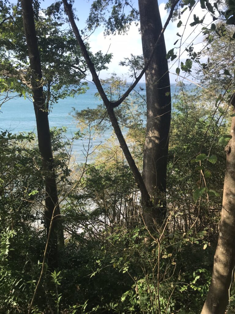 Tout pour préparer son voyage en Martinique 62 IMG 6224