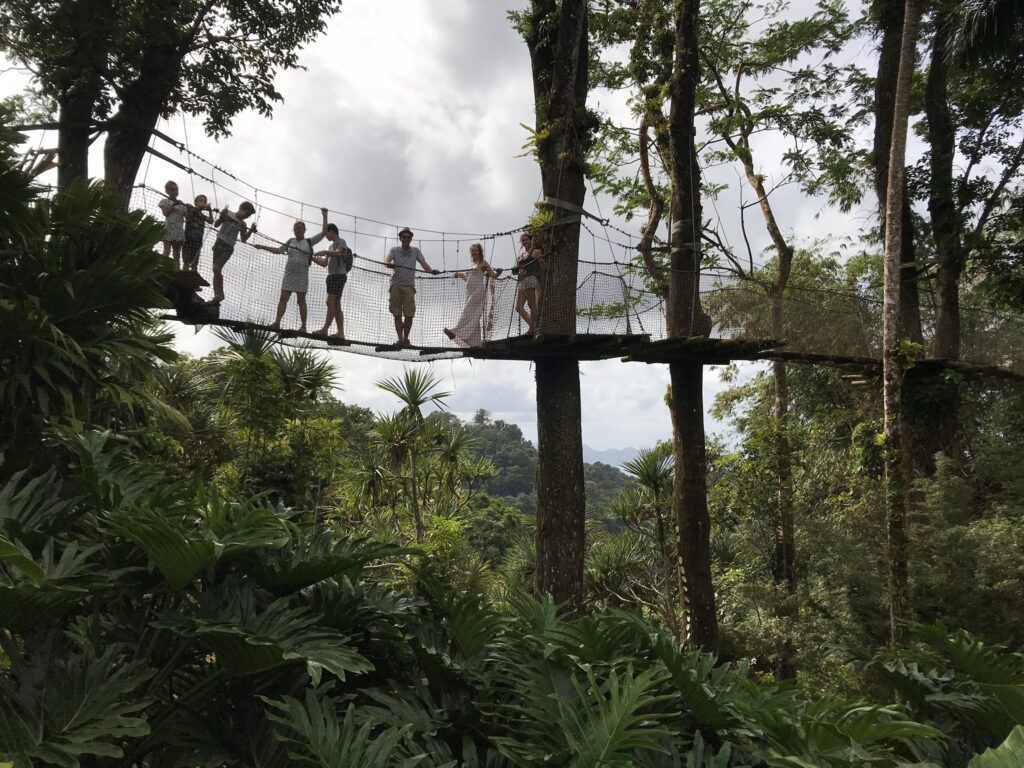 Tout pour préparer son voyage en Martinique 95 IMG 6356