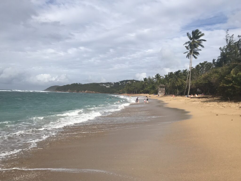 Tout pour préparer son voyage en Martinique 101 IMG 6427
