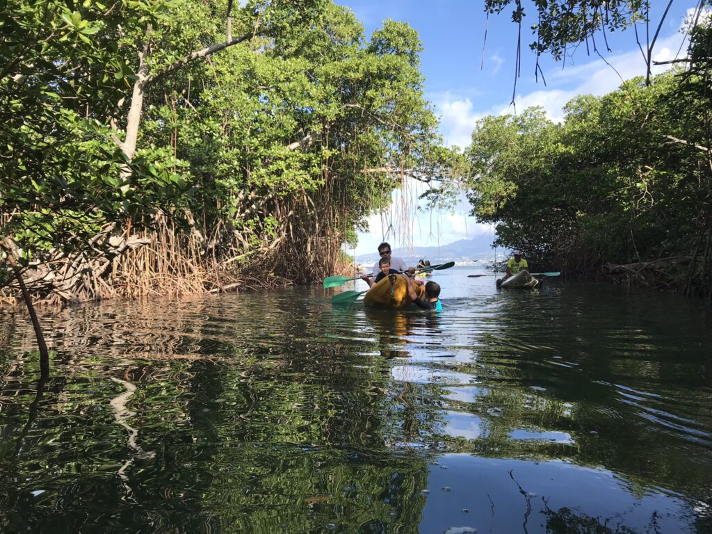 Tout pour préparer son voyage en Martinique 116 IMG 6486