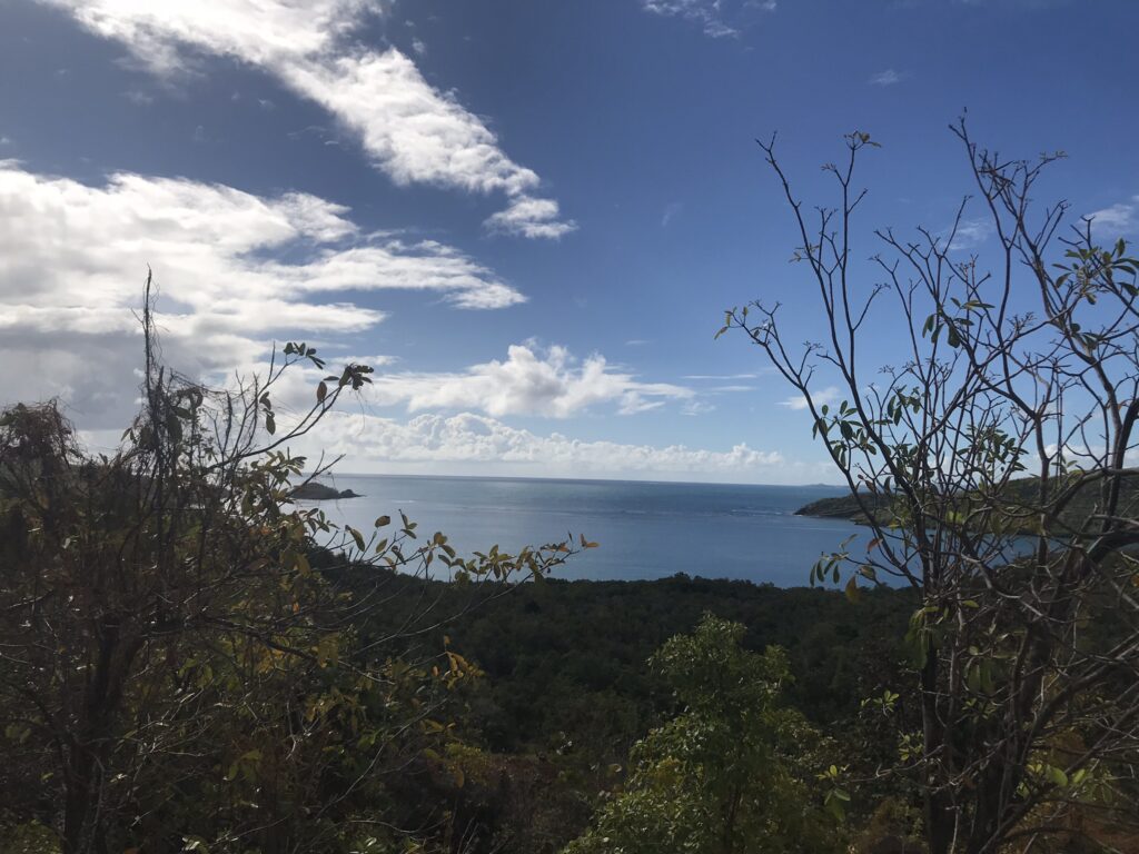 Tout pour préparer son voyage en Martinique 124 IMG 6635
