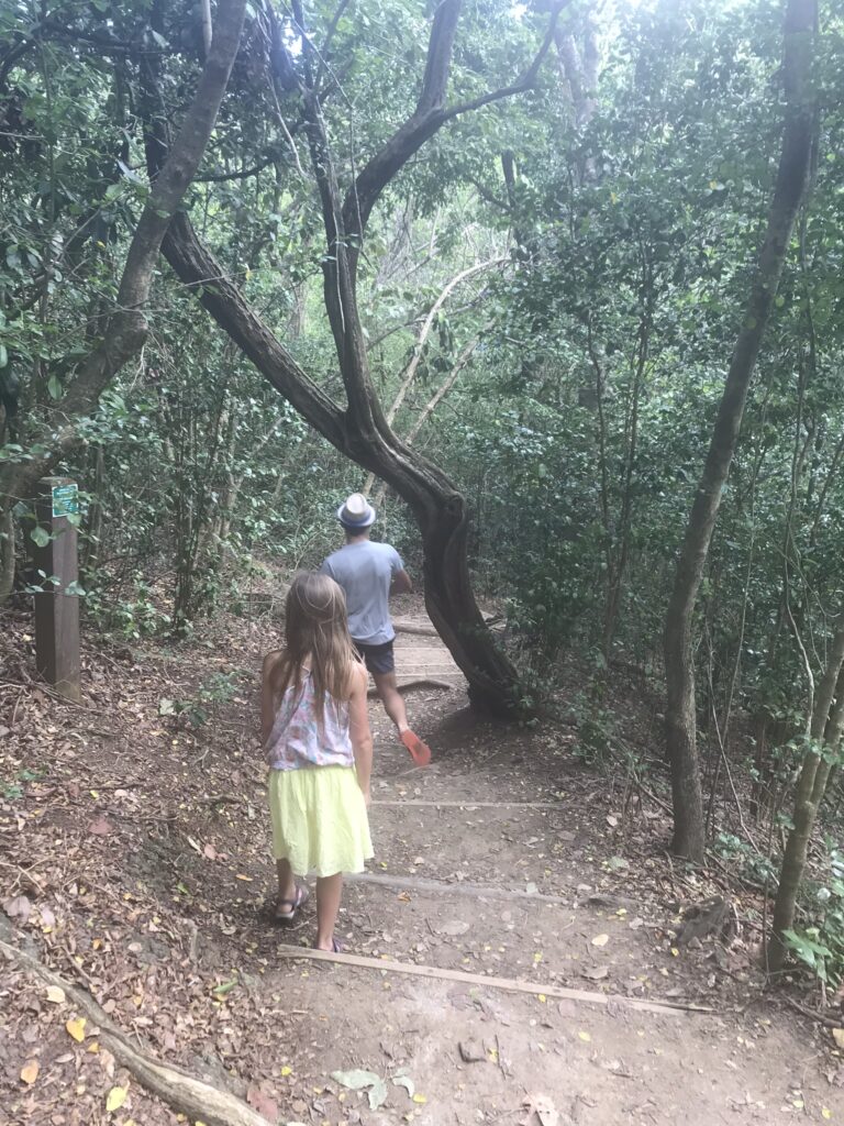 Tout pour préparer son voyage en Martinique 125 IMG 6636