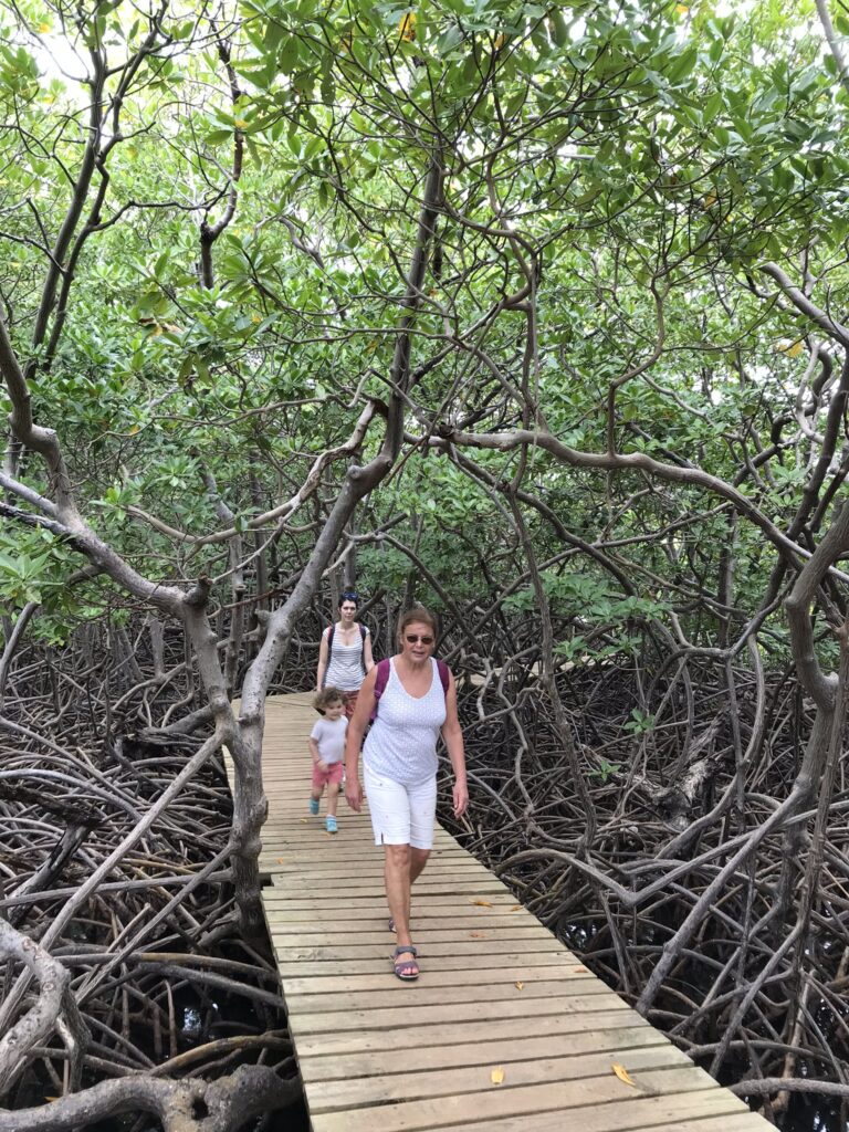 Tout pour préparer son voyage en Martinique 127 IMG 6652