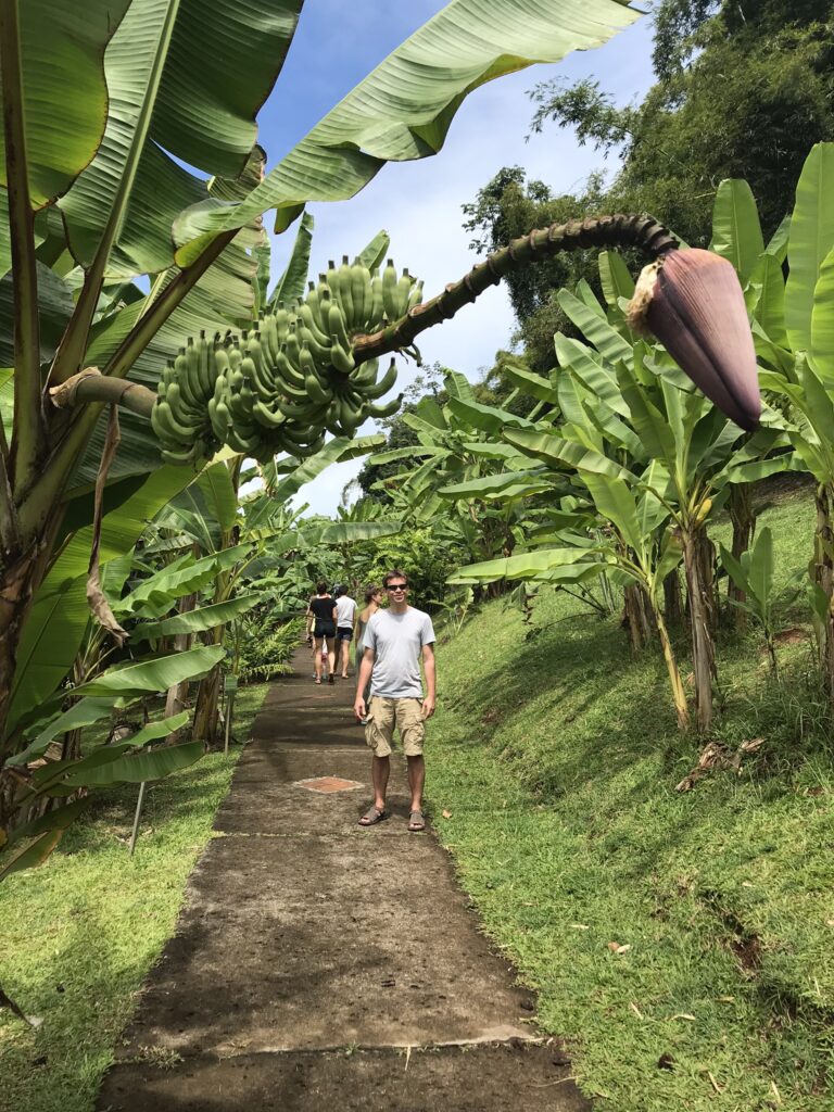 Tout pour préparer son voyage en Martinique 135 IMG 6692