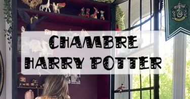 chambre harry potter idées