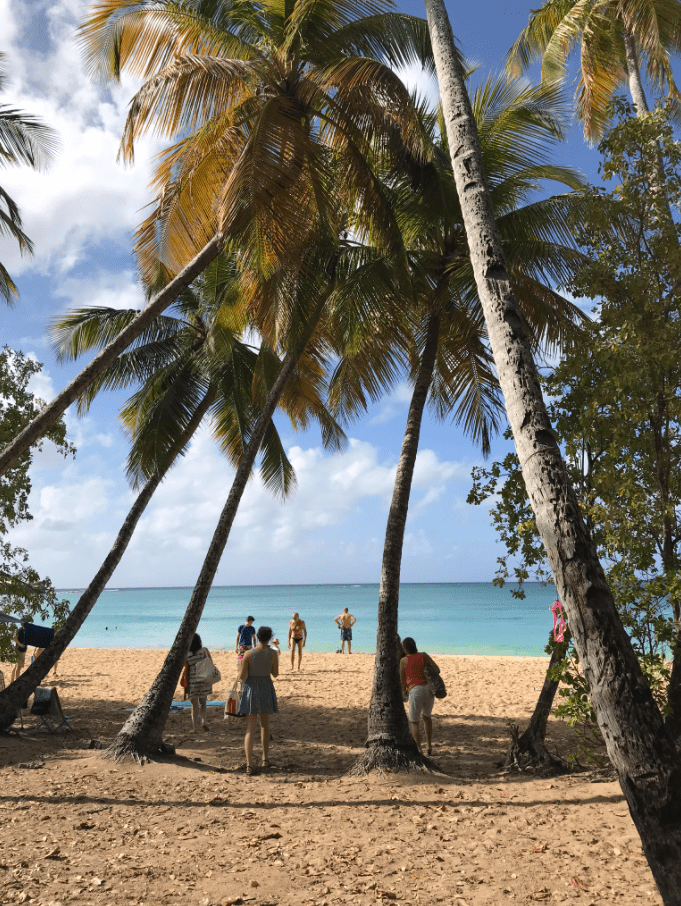 Tout pour préparer son voyage en Martinique 7 image 4