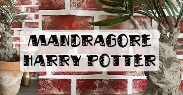 tuto mandragore harry potter